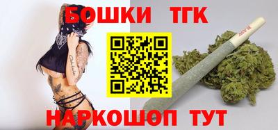 крисы Камышлов