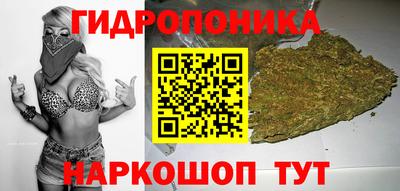 МДПВ Кандалакша